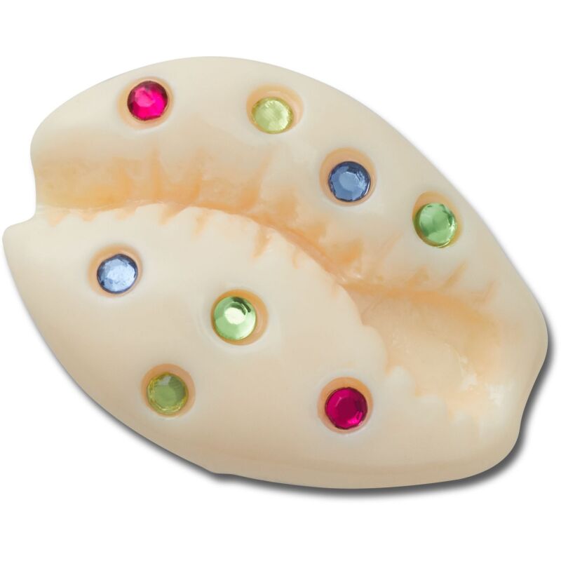 Crocs™ Jibbitz Gem Puka Shell 