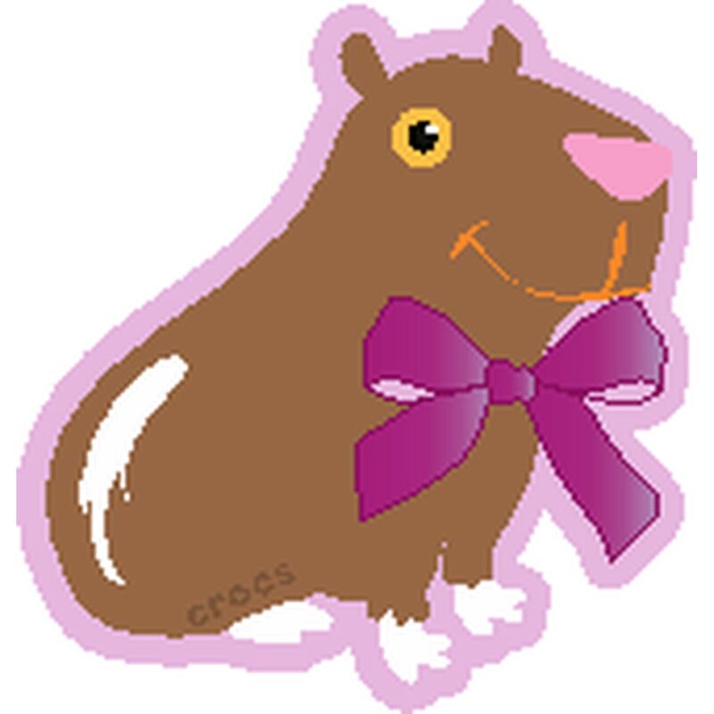 Crocs™ Jibbitz Coquette Capybara 