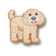 Crocs™ Jibbitz Golden Doodle Puppy 